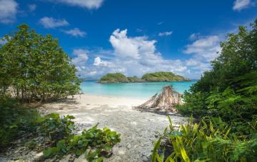 Discover the Unspoiled Beauty of Remote Islands through Ferry Travel